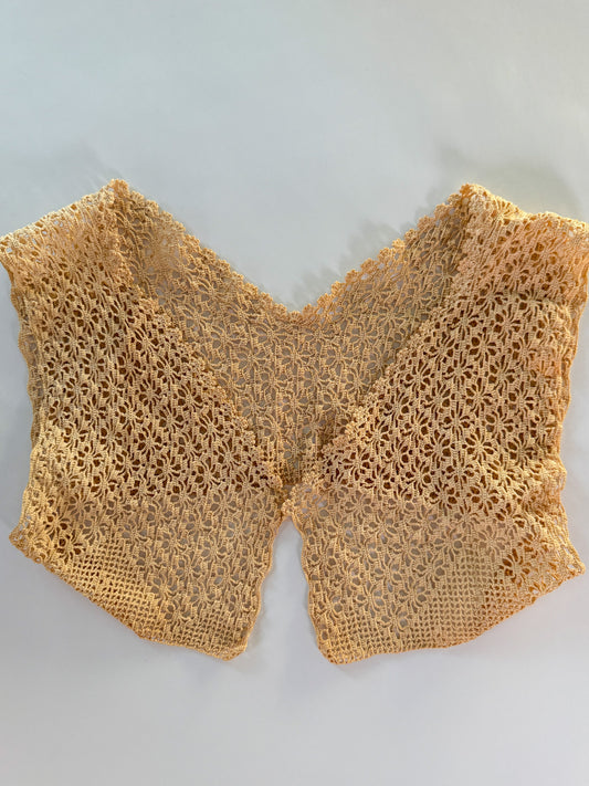 Antique Edwardian Crochet Yoke